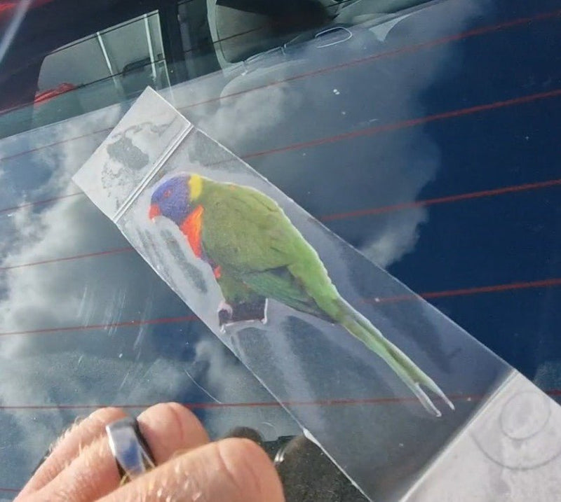 Colorful rainbow lorikeet parrot decal on a car window