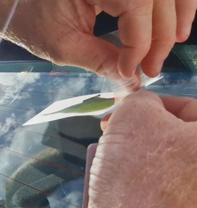 rainbow lorikeet Close-up of hands applying clear tape to a surface with a car in the background
