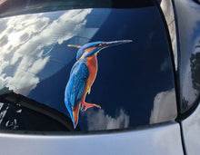 Load image into Gallery viewer, Real image of kingfisher bird Sticker Colorful bird decal on a car window with a blue sky reflection.
