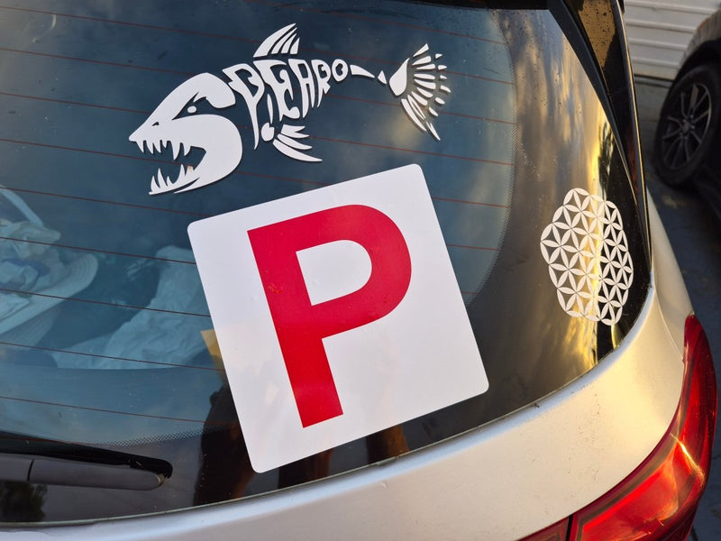 Car with a 'P' plate Sticker and fish skeleton decal on the back window
