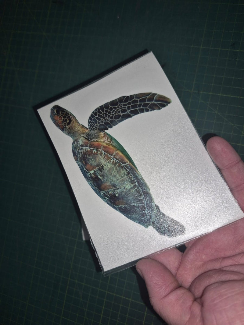 Hand holding a card with a turtle illustration on a dark grid background