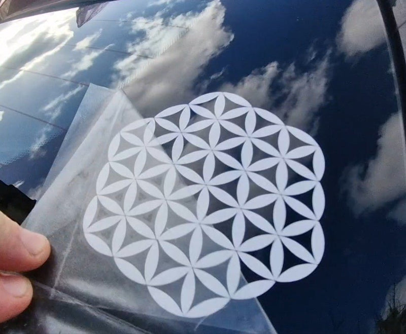 White geometric design sticker on a clear plastic application sheet held over a car window.