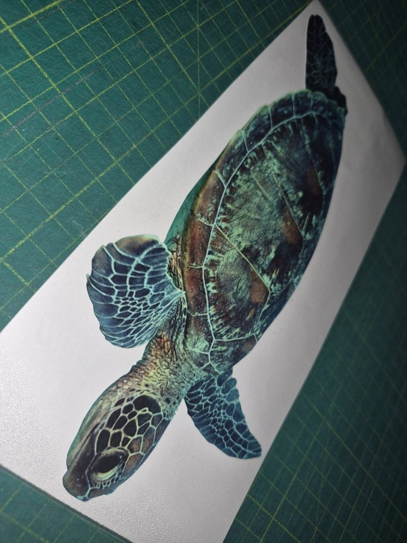 Colorful turtle illustration on a white card with grid background