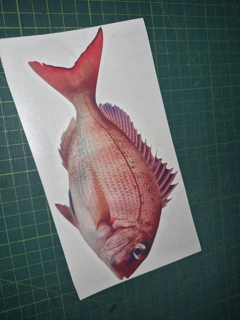 Snapper decal  Fish illustration on a white card with a green cutting mat background