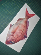 Load image into Gallery viewer, Fish on a piece of paper with a grid background
