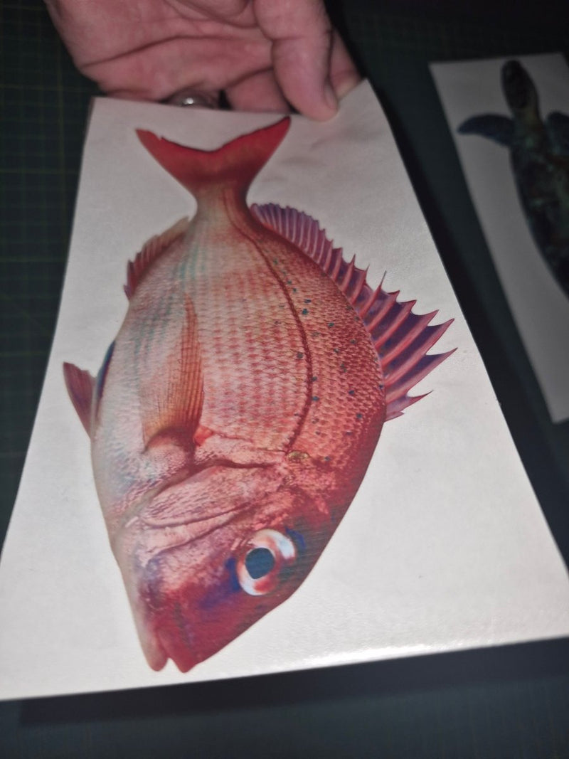 Hand holding a card with a red fish illustration on a dark background