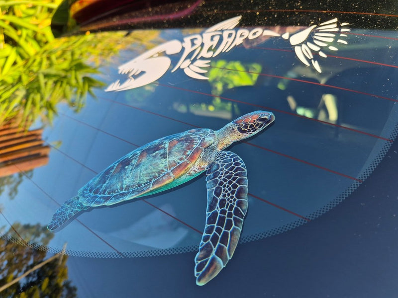 Turtle decal on a car window with blurred background