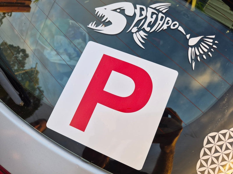 Red 'P' plate on a car window with a white background.