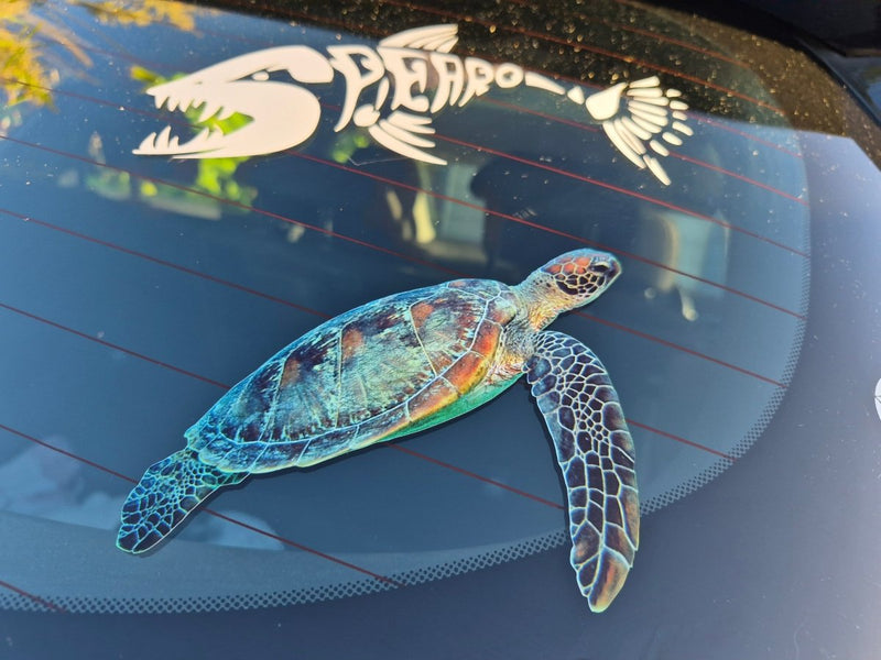 Colorful sea turtle decal on a car window with a skeleton lobster decal above it.