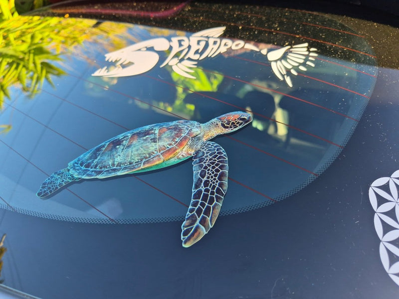 Turtle decal on a car window with a blurred background