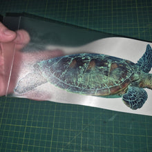 Load image into Gallery viewer, Hand holding a turtle decal on a cutting mat
