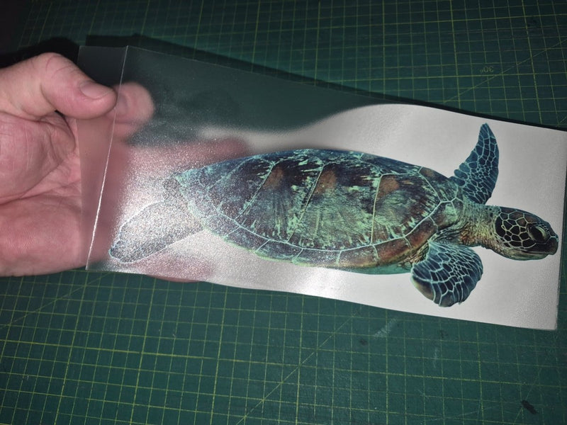 Hand holding a turtle decal on a cutting mat