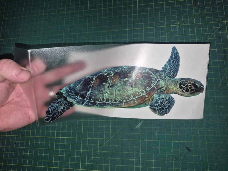Hand holding a paper with a turtle illustration on a grid surface