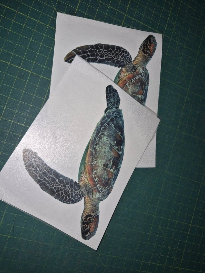 Two turtle decals on white paper with a grid background