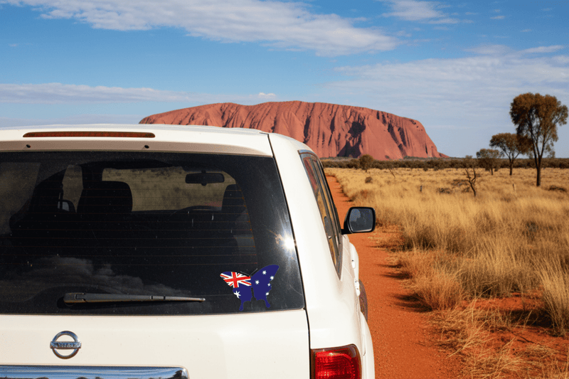 Australian Butterfly on Patrol