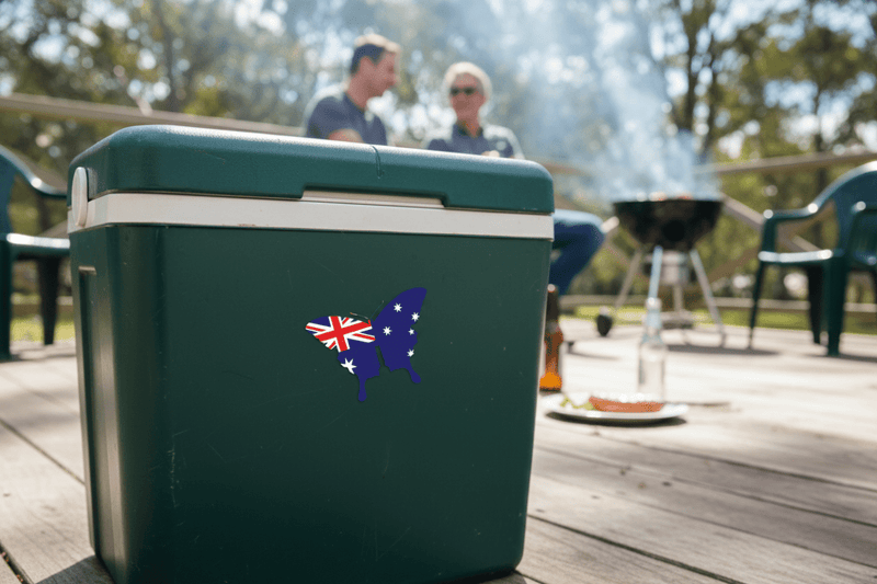 Australian Butterfly on Toolbox
