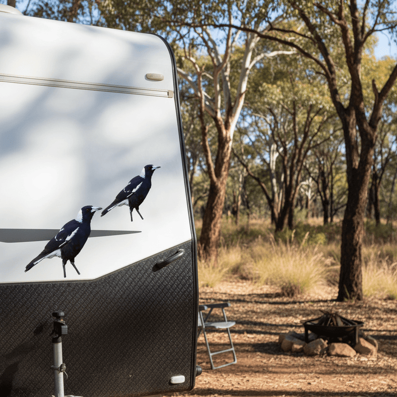 Caravan Pair