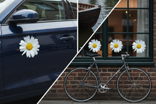 Load image into Gallery viewer, Daisy Sticker Hero Banner
