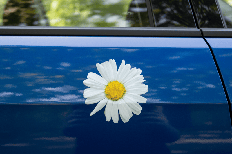 Daisy Sticker on Car