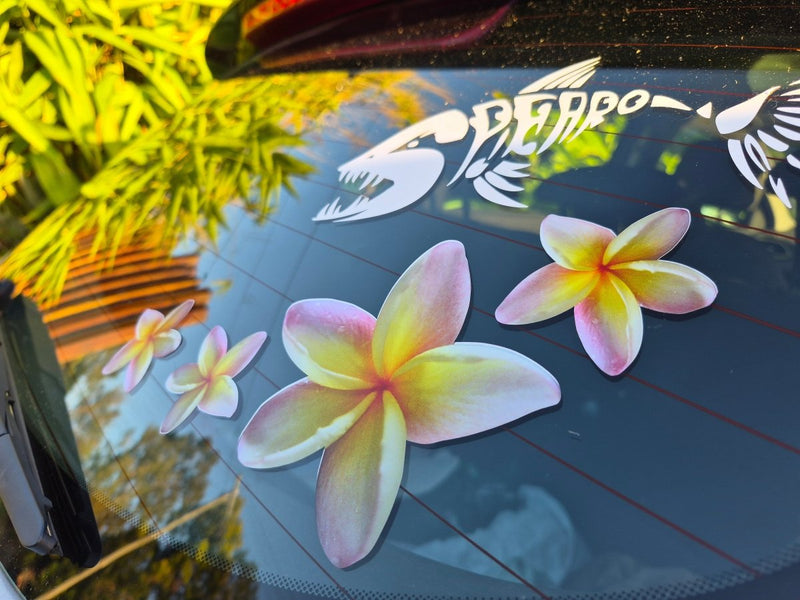 Floral yellow frangipani stickers on a car window with a brand logo in the background