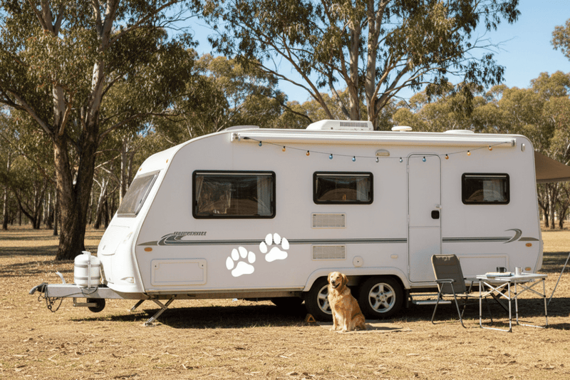 Dog Paws - Caravan