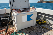 Load image into Gallery viewer, Esky/Cooler
