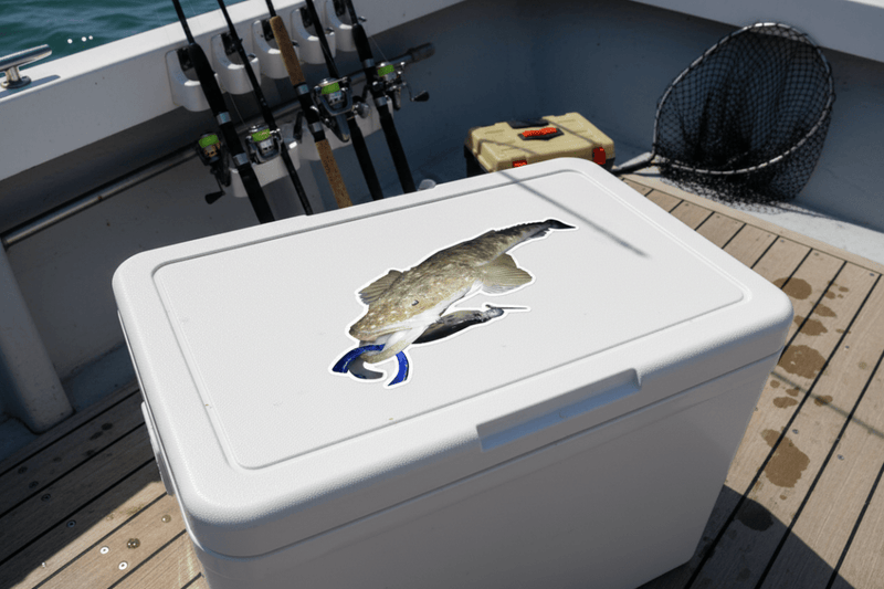 Esky Lid flathead decal lure
