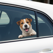 Load image into Gallery viewer, Jack Russell - Close-up
