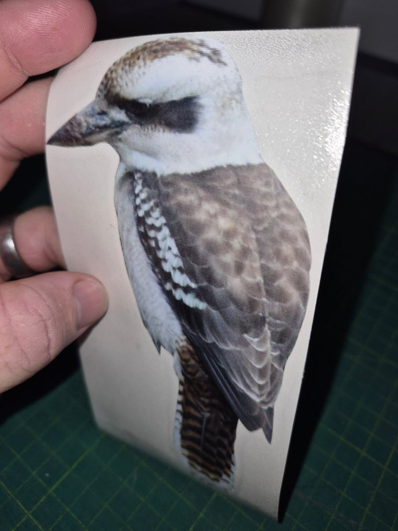 Sticker with a kookaburra bird design held by a hand on a green background