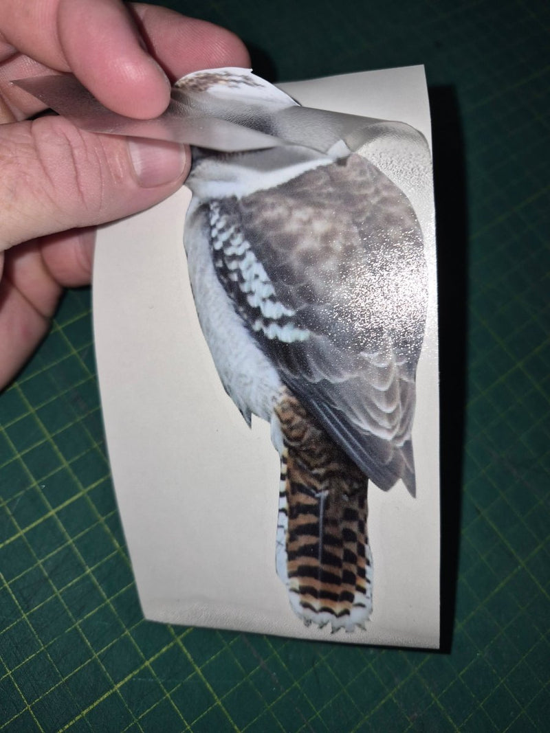 kookaburra decal clear transfer paper being removed illustration of a bird on a green cutting mat.