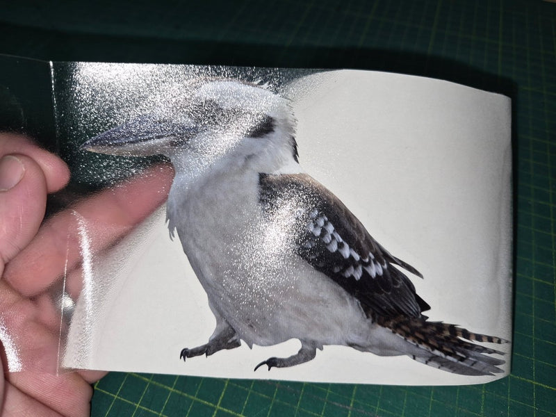Hand holding a card with a kookaburra bird image on a green cutting mat.