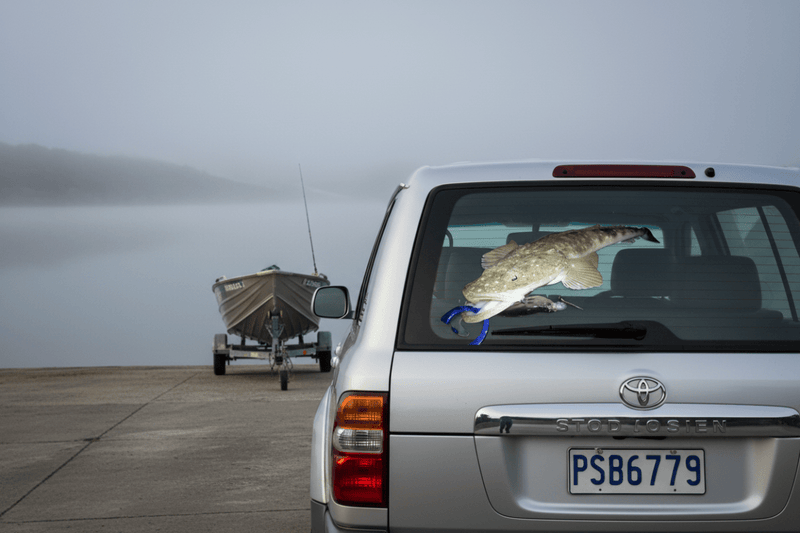 LandCruiser flathead decal lure