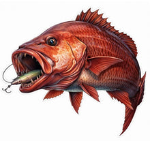Load image into Gallery viewer, Illustration of a large mangrove jack fish with an open mouth holding a fishing lure on a white background
