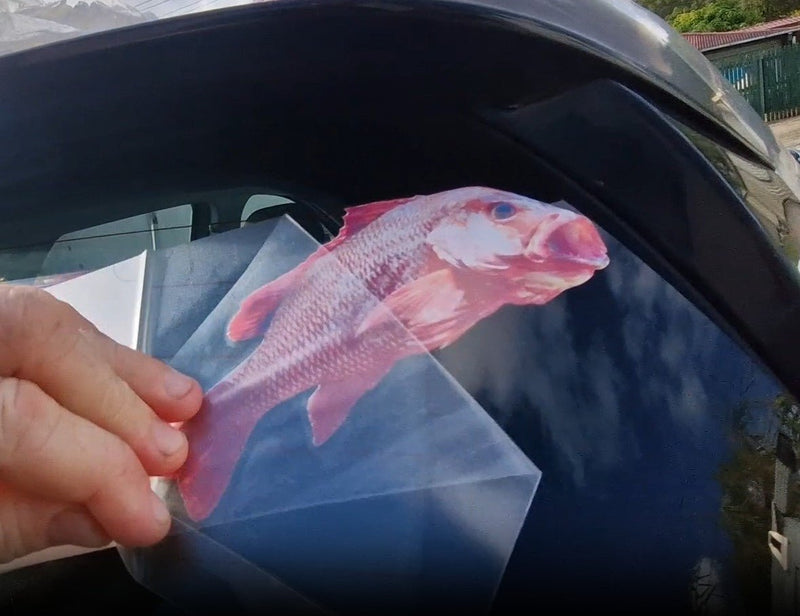 Hand holding a red mangrove jack fish decal against a car window