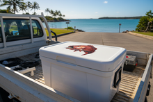 Load image into Gallery viewer, mangrove jack sticker On an Esky
