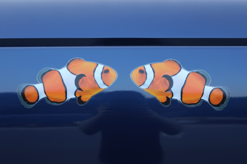 clownfish Sticker Mirrored Pair Design