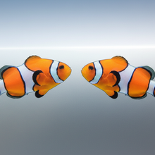 Load image into Gallery viewer, Mirrored Pair Design clownfish
