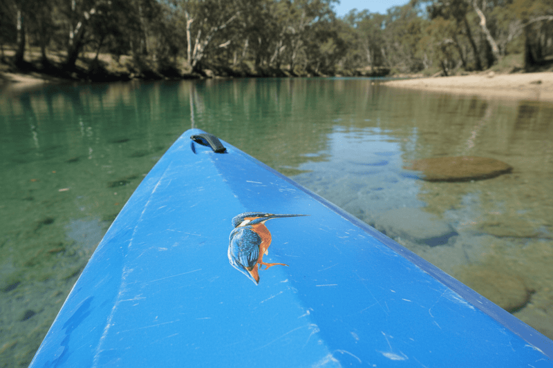 On Boat/Kayak - Waterway