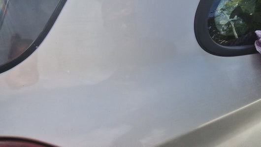 Gold Turb decal