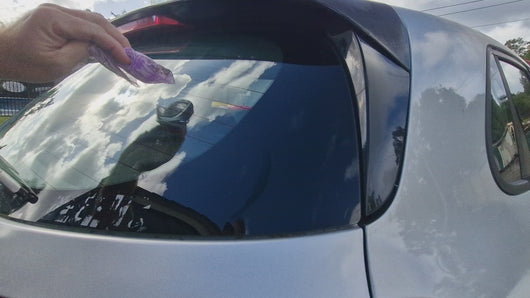 Sticker of Kingfisher bird application video