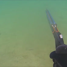 Load and play video in Gallery viewer, Spearfishing video fish shot to decal
