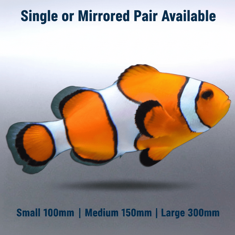 clownfish Product Showcase