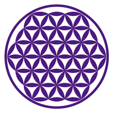 Load image into Gallery viewer, Purple Circle of Life sticker

