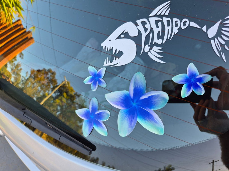 Car window with blue Frangipani flower decals and a shark skeleton design.