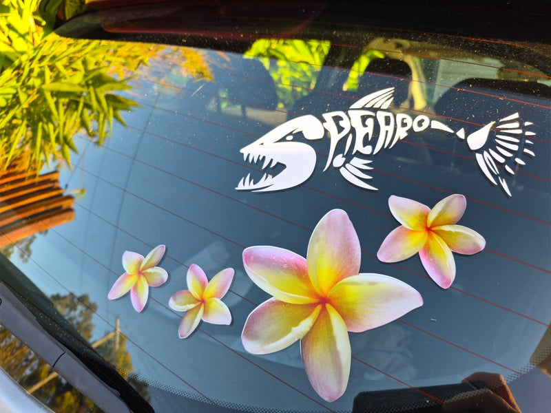 Car window with yellow frangipani flowers