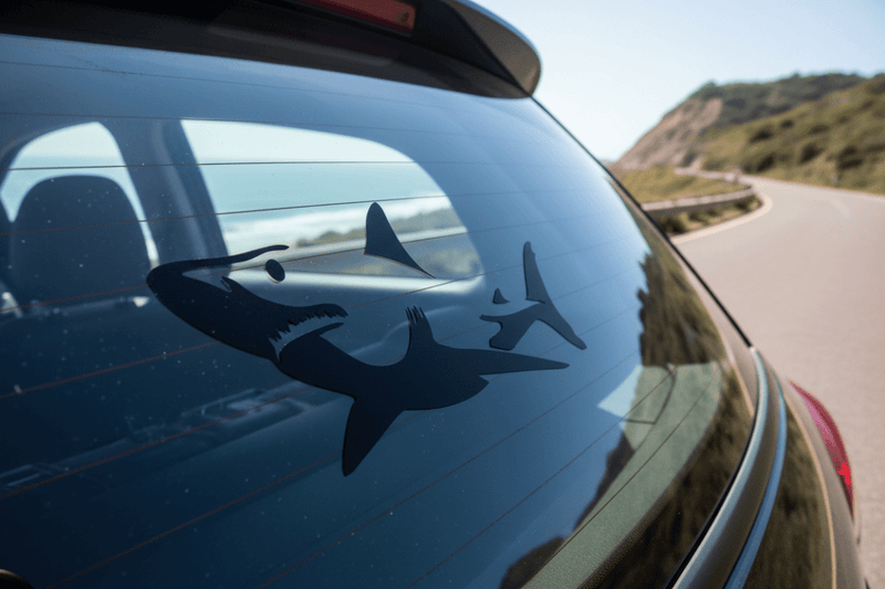 Rear car window coastal road shark decal