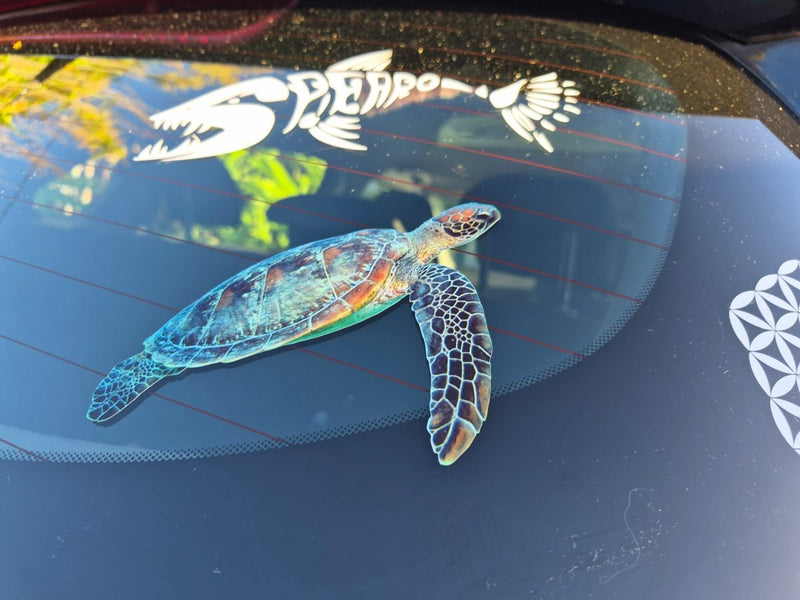 Turtle decal on a car window with a white lobster decal in the background