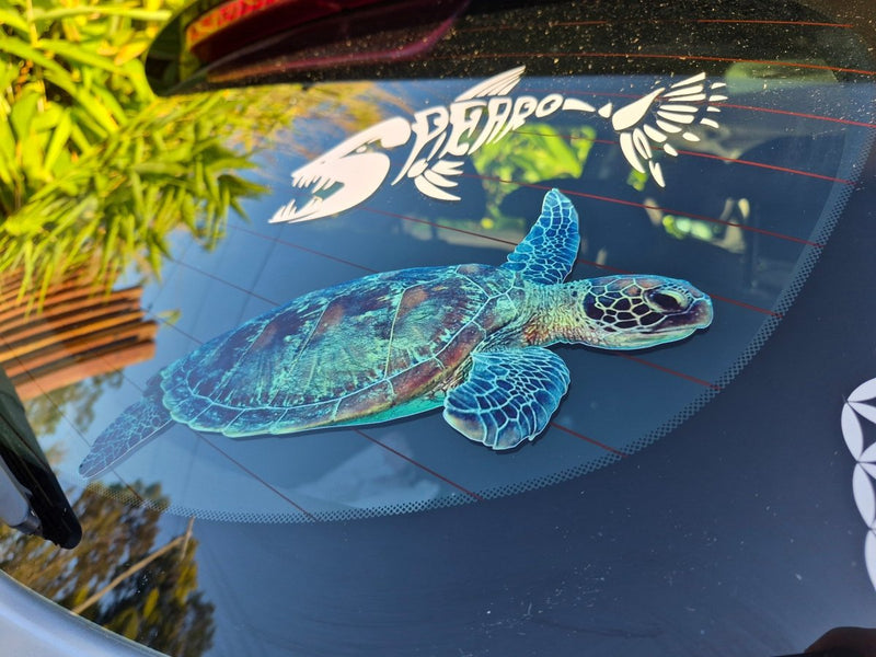 Car window with a large sea turtle decal and smaller butterfly decal.
