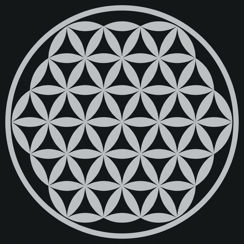 Silver-grey Circle of Life design on dark charcoal background