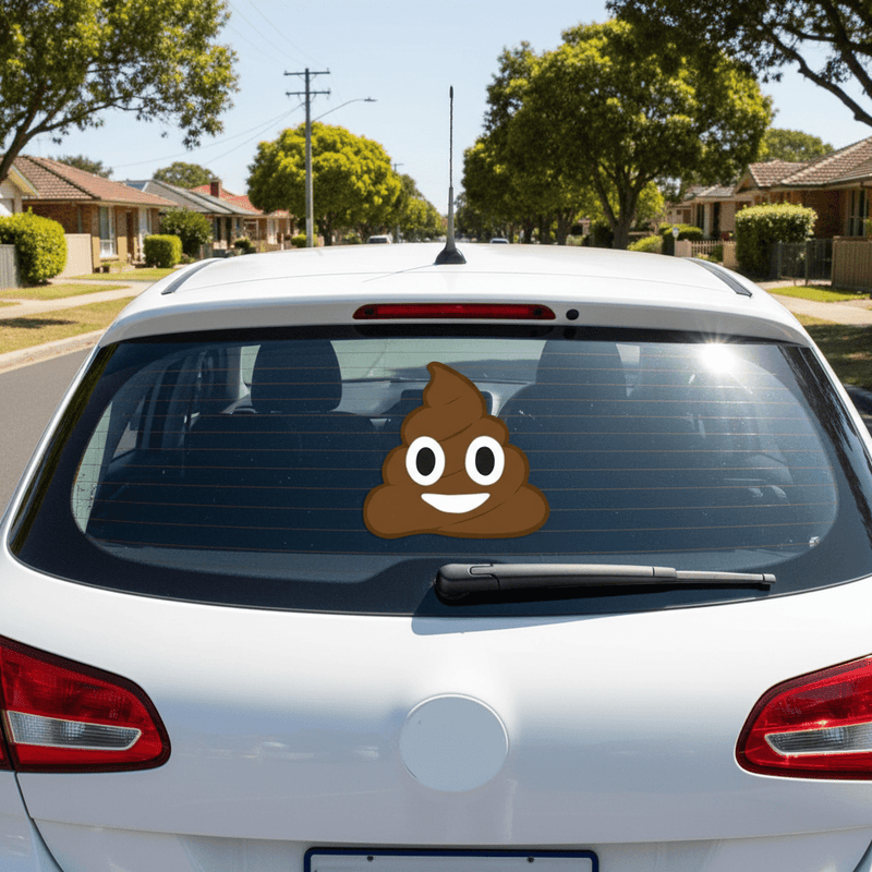Smiling poop on car